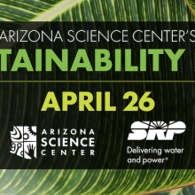 Sustainability Fest